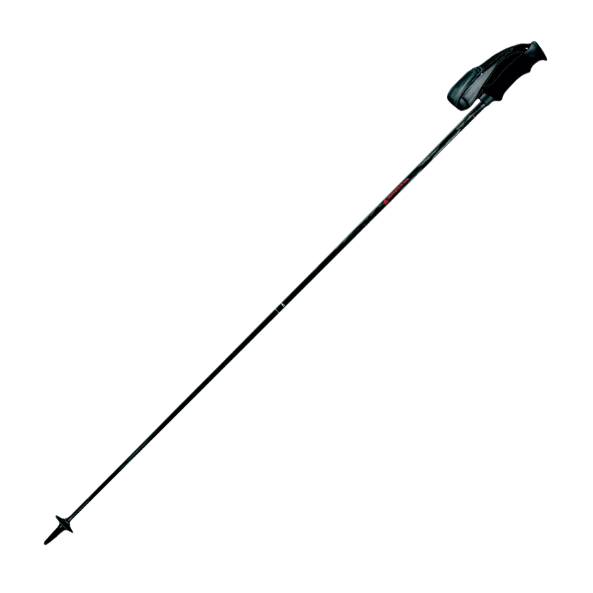VARIABLE LENGTH CARBON POLE - Kneissl - UK